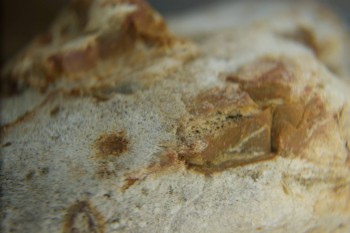 Израсцы и камни - DSC04327.JPG