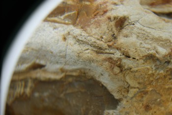 Израсцы и камни - DSC04330.JPG