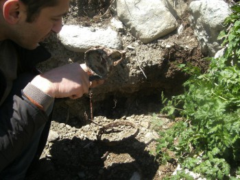 ПОМОГИТЕ УЗНАТЬ - ПЕЧАТЬ 3.jpg