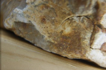 Израсцы и камни - DSC04332.JPG