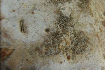 Израсцы и камни - DSC04334.JPG