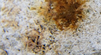 Израсцы и камни - DSC04345.новость1.jpg