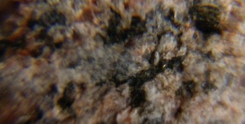 Израсцы и камни - DSC06278.зачем11.jpg