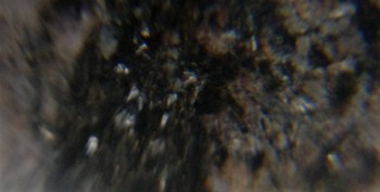 Израсцы и камни - DSC06279.зачем12.jpg