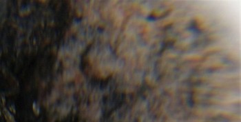 Израсцы и камни - DSC06279.зачем13.jpg