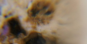 Израсцы и камни - DSC06294.правда.2.jpg