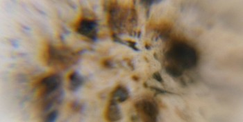 Израсцы и камни - DSC06297.правда5.jpg