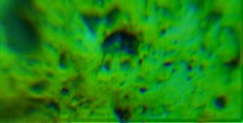 Израсцы и камни - DSC06300.правда8.jpg