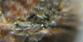 Израсцы и камни - DSC06436.правда13.jpg