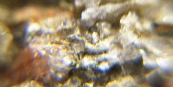 Израсцы и камни - DSC06437.правда14.jpg