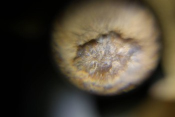 Израсцы и камни - DSC06500.JPG