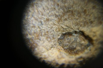 Израсцы и камни - DSC06508.JPG