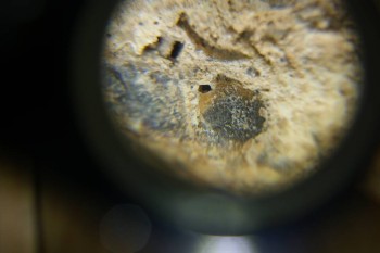 Израсцы и камни - DSC06510.JPG