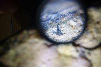 Израсцы и камни - DSC06516.JPG