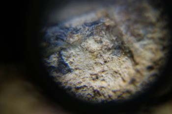 Израсцы и камни - DSC06517.JPG