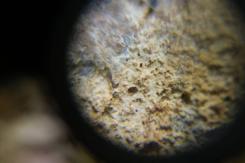 Израсцы и камни - DSC06518.JPG