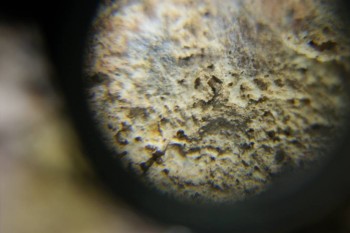 Израсцы и камни - DSC06522.JPG