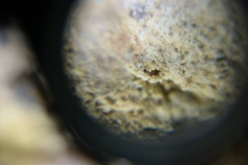 Израсцы и камни - DSC06524.JPG