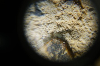 Израсцы и камни - DSC06526.JPG