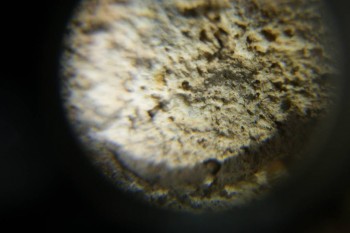 Израсцы и камни - DSC06529.JPG