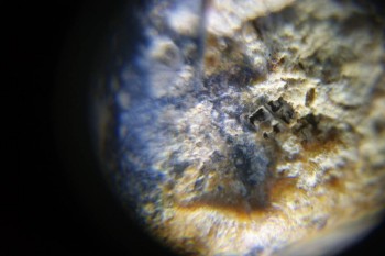 Израсцы и камни - DSC06532.JPG