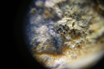 Израсцы и камни - DSC06533.JPG