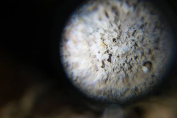 Израсцы и камни - DSC06534.JPG