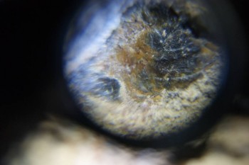 Израсцы и камни - DSC06535.JPG