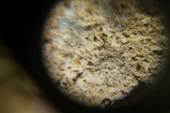 Израсцы и камни - DSC06537.JPG