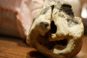 Израсцы и камни - DSC07890.JPG