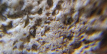 Израсцы и камни - DSC07896. Древность1.jpg