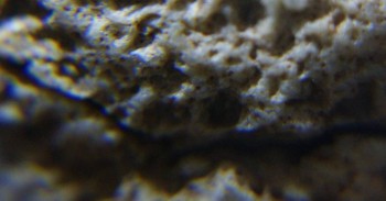 Израсцы и камни - DSC07897. Древность4.jpg