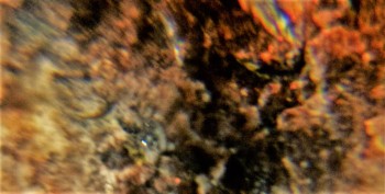 Израсцы и камни - DSC07898. Древность4.jpg