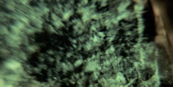 Израсцы и камни - DSC07899. Древность5.jpg