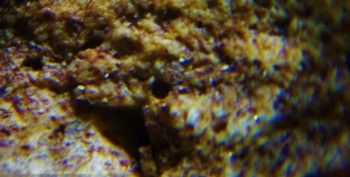 Израсцы и камни - DSC07906. Древность12.jpg