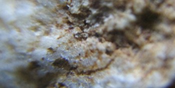 Израсцы и камни - DSC07908. Древность15.jpg