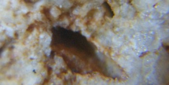 Израсцы и камни - DSC07914. Древность18.jpg