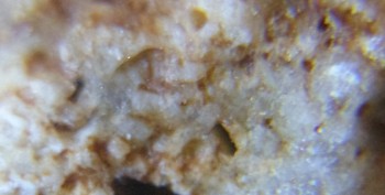 Израсцы и камни - DSC07914. Древность19.jpg