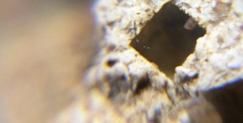 Израсцы и камни - DSC07916. Древность21.jpg