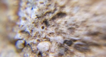 Израсцы и камни - DSC07917. Древность22.jpg