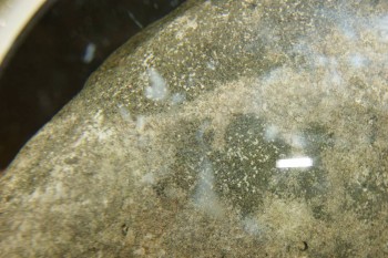 Израсцы и камни - DSC07936.JPG