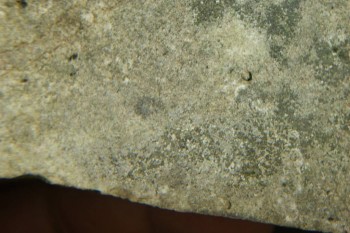 Израсцы и камни - DSC07937.JPG