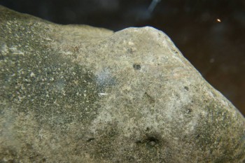 Израсцы и камни - DSC07938.JPG