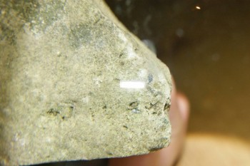 Израсцы и камни - DSC07942.JPG