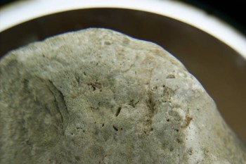 Израсцы и камни - DSC07948.JPG