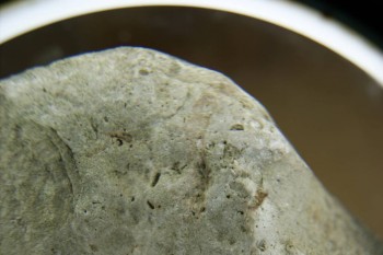 Израсцы и камни - DSC07949.JPG