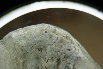 Израсцы и камни - DSC07950.JPG