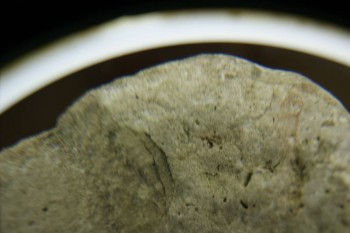 Израсцы и камни - DSC07951.JPG