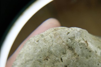 Израсцы и камни - DSC07960.JPG