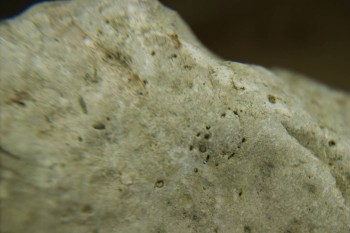 Израсцы и камни - DSC07962.JPG